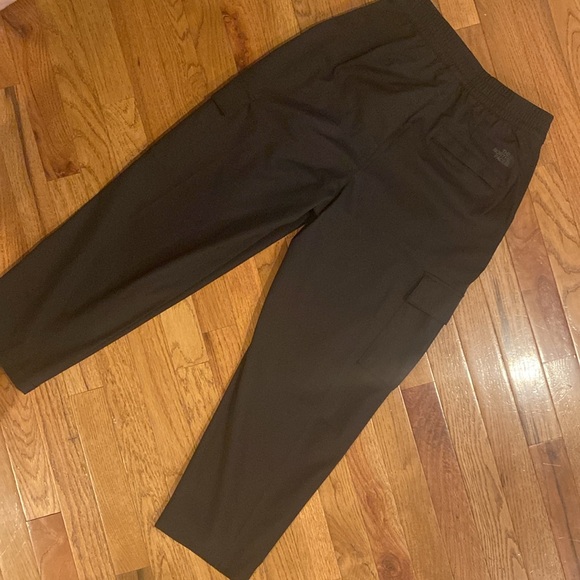 The North Face Standard Cargo Pant - Picture 1 of 14